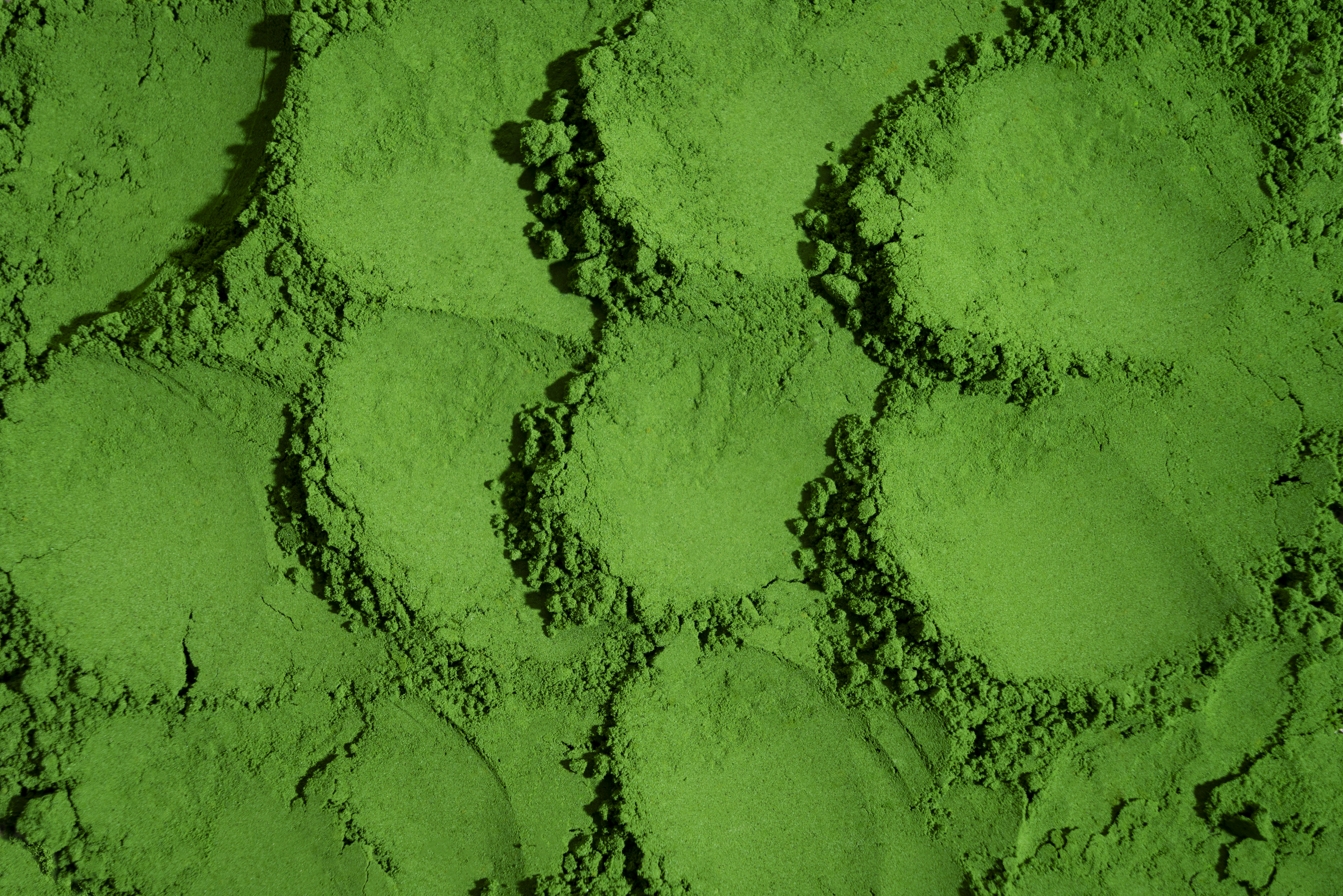 Healing Powder Herbs